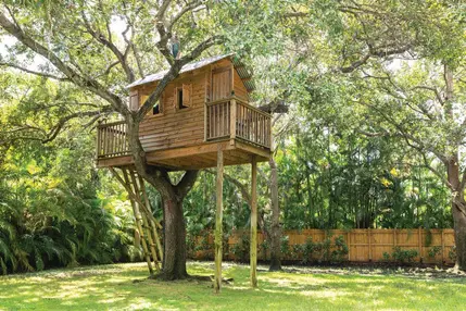 Tree House